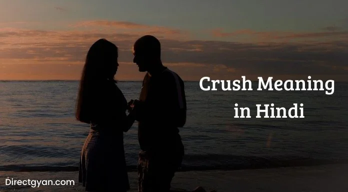 crush meaning in hindi