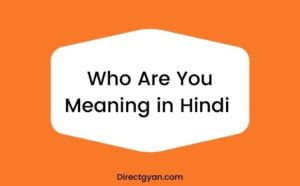 who are you meaning in hindi