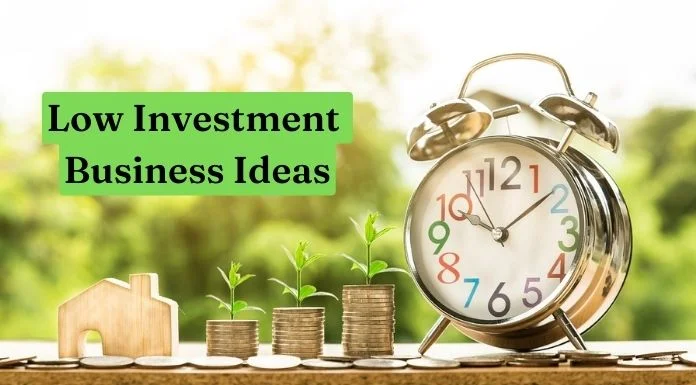 low investment small business ideas hindi